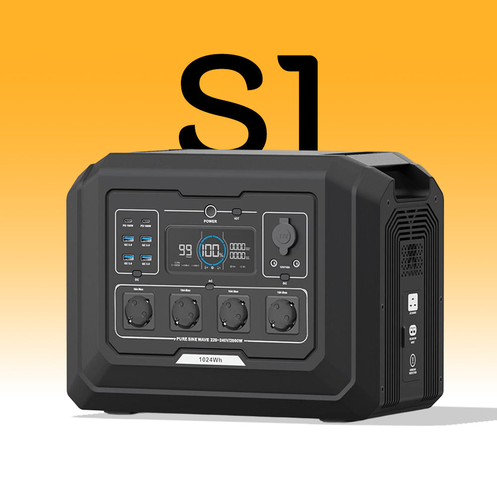 S1