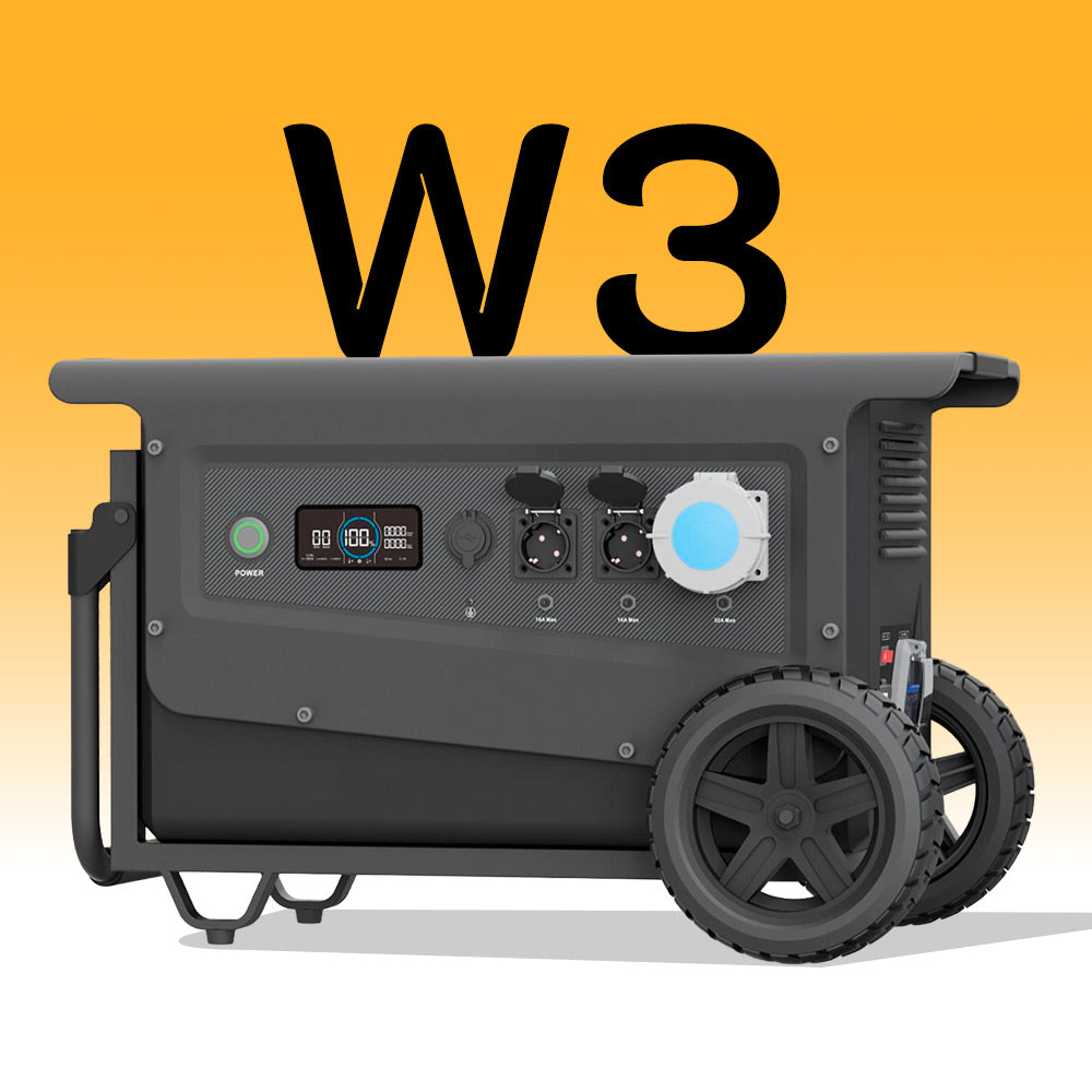W3