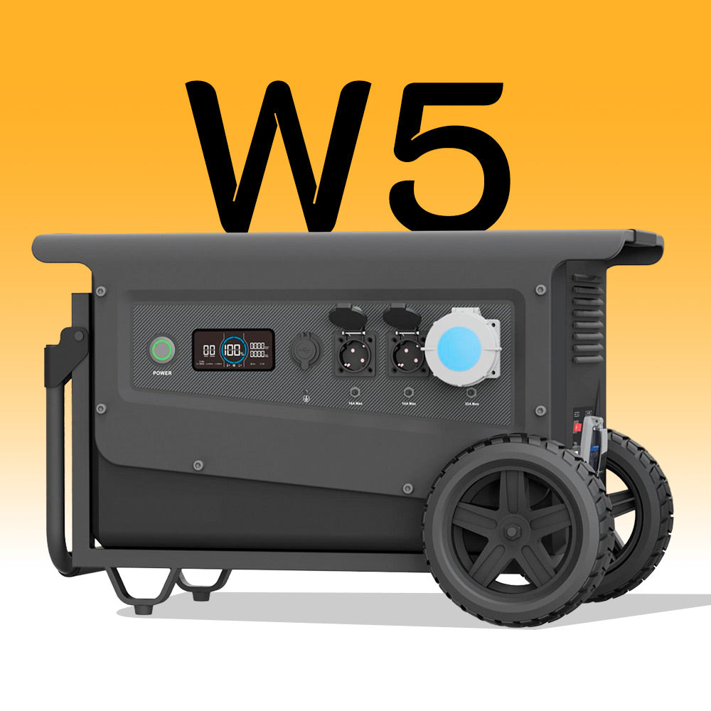 W5